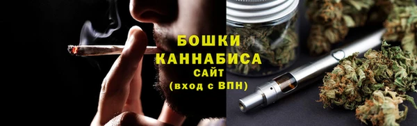 ГАЛЛЮЦИНОГЕННЫЕ ГРИБЫ Семёнов