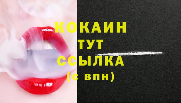 эйфоретик Баксан